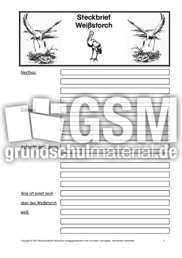 Vorlage-Steckbrief-Weißstorch-2.pdf